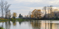 Жители решат, какие пруды расчистят в Подмосковье в следующем году: как отдать голос через «Добродел» - Regions.Ru