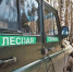 Лесной патруль против лесной братвы: как жители Подмосковья погуляли среди деревьев на ₽800 тыс. - Regions.Ru