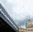 Посмотреть на плесень: в столичном регионе открыли странную выставку - Regions.Ru
