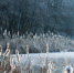 медиасток.рф - MosRegToday.Ru