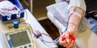 В Подмосковье не хватает крови III отрицательной группы: как помочь и кто может стать донором - Regions.Ru