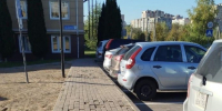 Асфальт vs плитка: почему жители 43 округов Подмосковья просят заменить покрытие и что ждет исторические центры городов - Regions.Ru