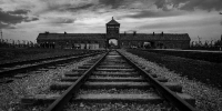 Сексолог Миллер призвала не пытаться объяснять Холокост микропенисом Гитлера - РТВ-Подмосковье