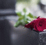 Отец пятилетней девочки, найденной в диване в Челябинске, устроил ей тайные похороны - РТВ-Подмосковье
