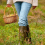 Фото: istockphoto.com/dolgachov - MosRegToday.Ru