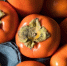 Диетолог назвала хурму продуктом для продления молодости - РТВ-Подмосковье