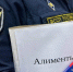В Подмосковье с начала года с должников взыскали алименты более чем на 3,4 млрд рублей - MosRegToday.Ru