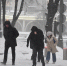 Жителей Москвы предупредили об усилении ветра до 17 метров в секунду - Комсомольская Правда