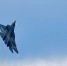 Россия передала два истребителя Су-57 иностранному заказчику - РТВ-Подмосковье