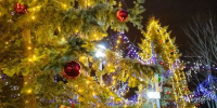 В подмосковной Кашире подготовили более 50 зимних мероприятий в городских парках - РТВ-Подмосковье