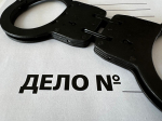 Взорвала ЛЭП и шпионила: террористка Лемещенко* получила 19 лет за госизмену