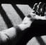 В Петербурге пациент совершил суицид в клинике Боткина перед процедурой диализа - РТВ-Подмосковье