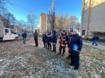 В Пушкинском округе активно спиливают сухостой по обращениям жителей