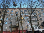 В Пушкинском округе активно спиливают сухостой по обращениям жителей