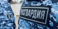Житель Подольска пытался украсть из магазина продукты на 12 тысяч рублей - Комсомольская Правда