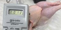 Пока не клюнул жареный петух: что показали проверки мяса птицы на ярмарках Подмосковья и как отличить легальную торговлю от нелегальной - Regions.Ru