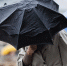 istockphoto.com/chris-mueller - MosRegToday.Ru