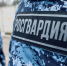 Росгвардейцы задержали подозреваемого в краже - Росгвардия