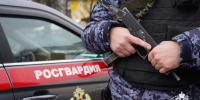 В Подмосковье росгвардейцы задержали рецидивиста, подозреваемого в угрозе убийством - Росгвардия