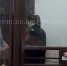 Истринский суд арестовал владелицу подмосковного рехаба для подростков Хоботову - РТВ-Подмосковье