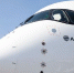 В Росавиации сделали заявление о директиве по замене ПО на самолетах Airbus - РТВ-Подмосковье