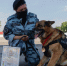 Во Всемирный день домашних животных героем рубрики «Знай наших» стал минно-розыскной пес подмосковного главка Росгвардии - служебная собака ОМОН «Пересвет» - Спарта - Росгвардия
