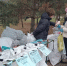 Чистое Подмосковье: где в ближайшие выходные можно сдать вторсырье и помочь природе - Regions.Ru