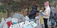 Чистое Подмосковье: где в ближайшие выходные можно сдать вторсырье и помочь природе - Regions.Ru