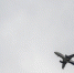 Названа причина нештатной ситуации с Boeing 777 в Подмосковье - Regions.Ru