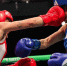 Подмосковные спортсменки завоевали медали чемпионата России по боксу среди женщин - MosRegToday.Ru