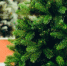 istockphoto.com/OKrasyuk - MosRegToday.Ru