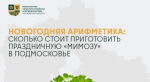 Минсельхоз Подмосковья подсчитал стоимость салата «Мимоза» к Новому году