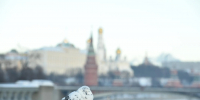 Морозная погода установится в Москве в предстоящие выходные - MosRegToday.Ru