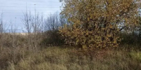 В Подмосковье продают участки для ИЖС, ЛПХ и бизнеса: рассказываем, что доступно и по каким ценам - Regions.Ru