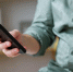 istockphoto.com/PixelVista - MosRegToday.Ru