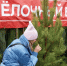 В Подольске в декабре заработают 16 елочных базаров - MosRegToday.Ru