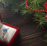 istockphoto.com/Lyashik - MosRegToday.Ru