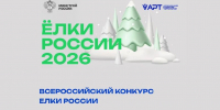 На всероссийском конкурсе выберут самые красивые ёлки страны - РТВ-Подмосковье