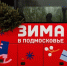 В Подмосковье рассказали, как перевозить новогодние ёлки в транспорте - РТВ-Подмосковье