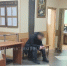 В Егорьевске вынесли приговор другу школьного стрелка за недонесение - РТВ-Подмосковье