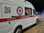 Ночная бабочка оказалась самкой богомола: эскортница взяла в плен пенис клиента и сбежала