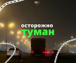 В подмосковном Минтрансе предупредили о тумане в регионе до утра субботы