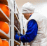Подмосковье стало лидером России по производству продуктов питания - РТВ-Подмосковье