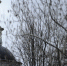 Усадьба Марфино в Мытищинском районе - MosRegToday.Ru