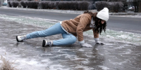 istockphoto.com/Liudmila Chernetska - MosRegToday.Ru