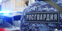Росгвардейцы задержали подозреваемого в краже в Подмосковье (видео) - Росгвардия