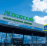 Главное — безопасность: план «Ковер» ввели в подмосковном аэропорту - Regions.Ru