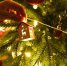 istockphoto.com/ArtMarie - MosRegToday.Ru