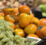 Что есть зимой, чтобы не чувствовать упадок сил: пять продуктов, которые заменят энергетики и кофе - Regions.Ru