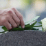 istockphoto.com/PeopleImages - MosRegToday.Ru